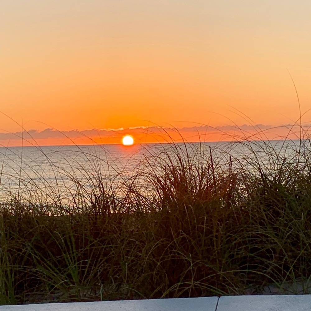 Meet your Posher, Ellenit